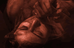 Imagen muestra de la actividad Raíces Carmesí: Fuente de creación