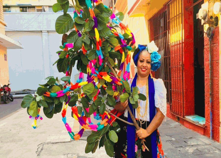 Imagen muestra de la actividad Rama Navideña