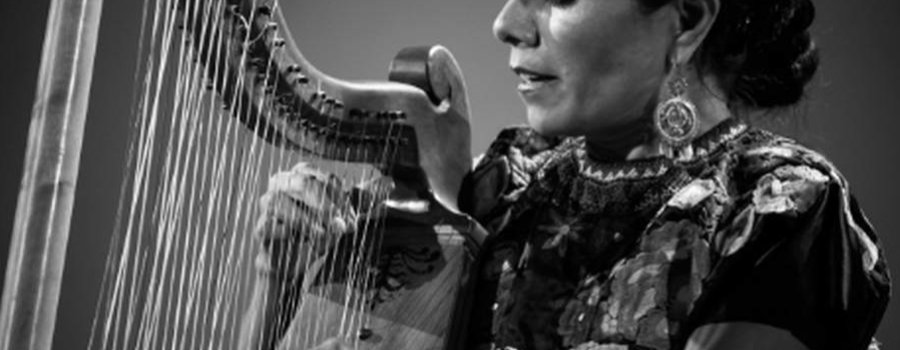 Recital de arpa