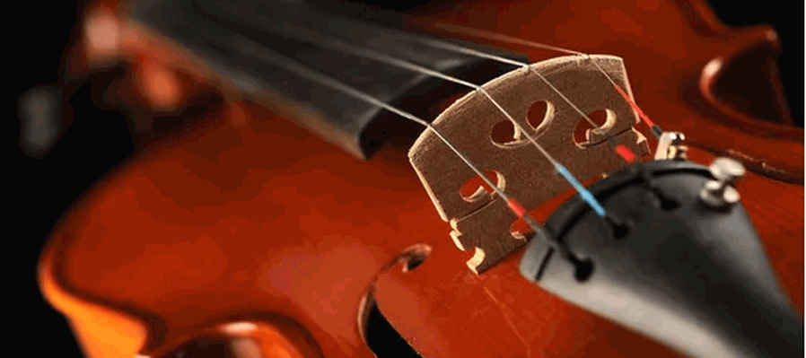 Recital de Violín
