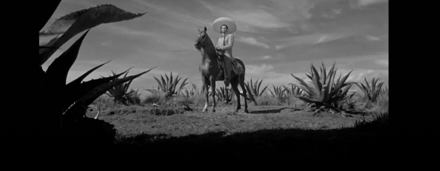 Recordando a Gabriel Figueroa. MX Nuestro Cine