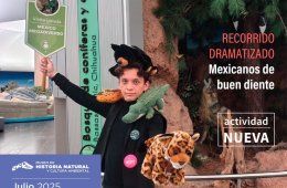 Imagen muestra de la actividad Mexicanos de buen diente