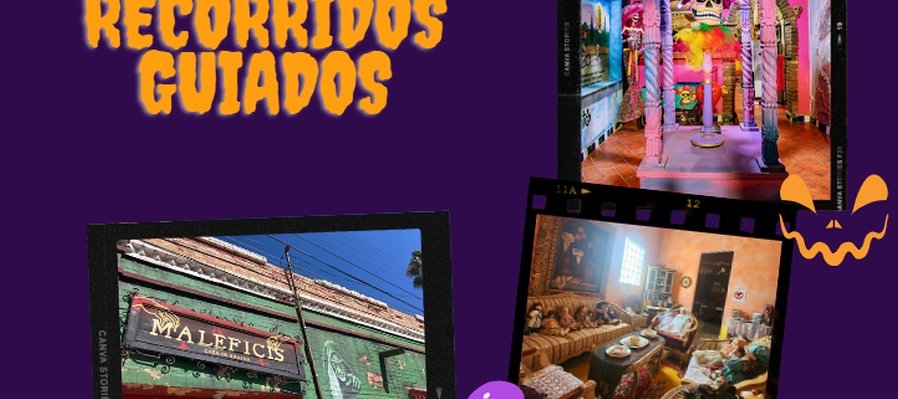 Recorridos guiados: (Museo de la Katrina, Museo de la Muñeca y Museo Malefices)