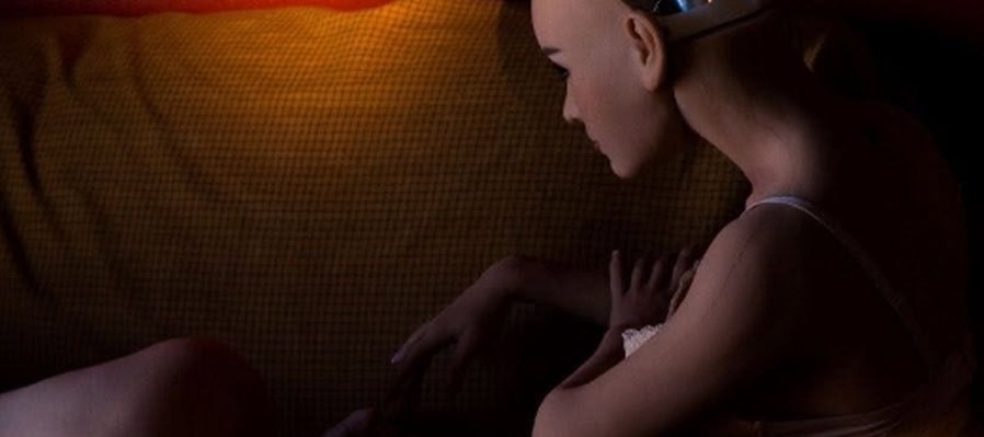 Reinos artificiales