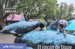 Imagen muestra de la actividad El rincon de Dippy