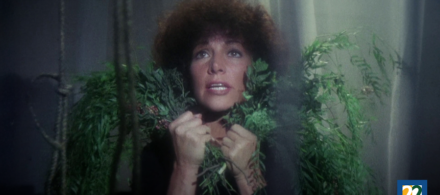 Ciclo: Arturo Ripstein La viuda negra