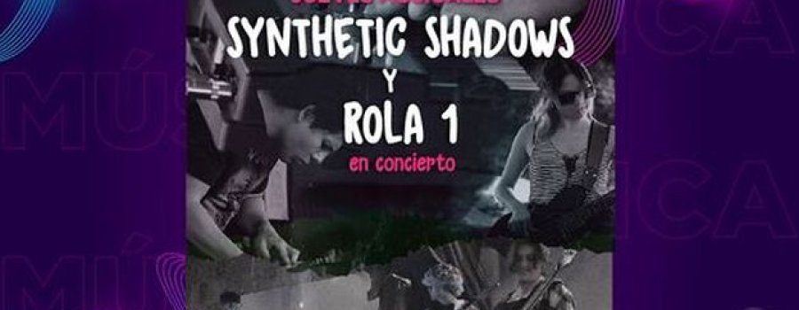 Synthetic Shadows y Rola 1 en concierto