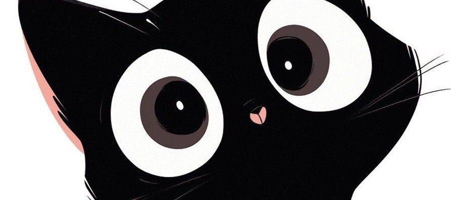 Ronroneos mágicos: Gabino y sus colores