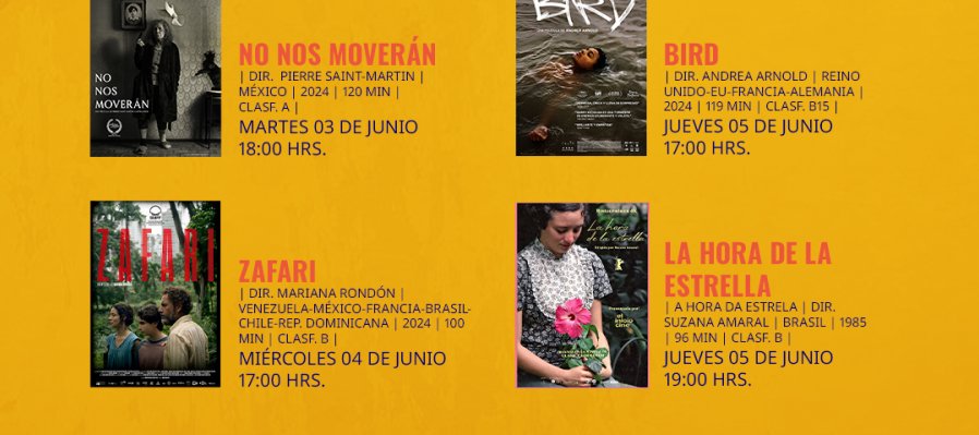 77 Muestra Internacional de Cine