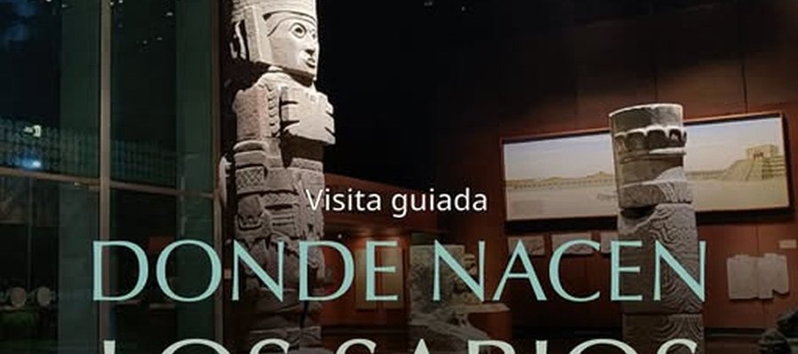 Donde nacen los sabios
