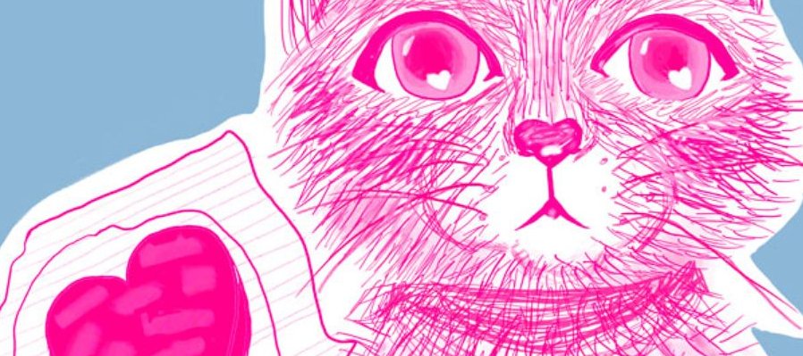 ¡No se rinda, oiga! Yo lo quiero mucho