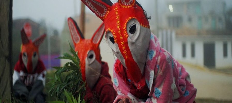 Pequeños zorros (Mutsk Wuäjxtë’)