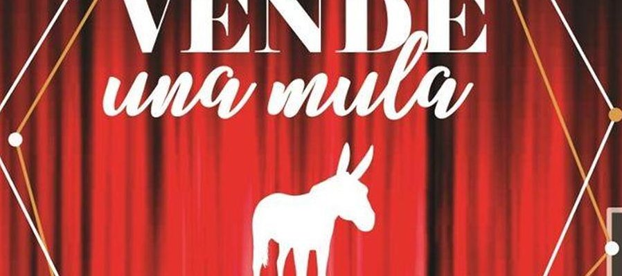 Se vende una mula