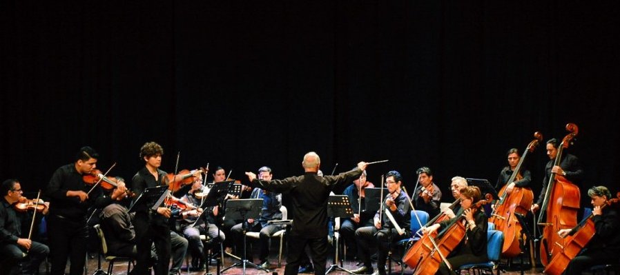 Secuencias Camerata 29