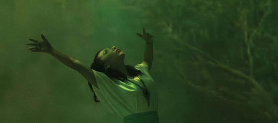 Selva Lakam-tun, Selva del Mayab y Selva Tayrona