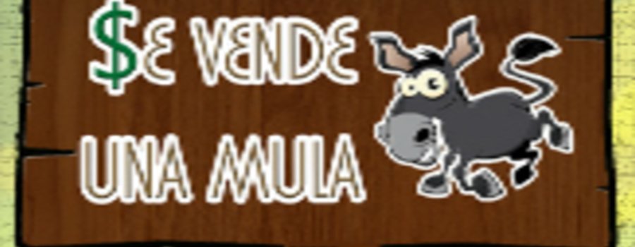 Se vende una mula