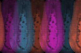 Imagen muestra de la actividad Sex Toy
