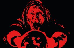 Imagen muestra de la actividad Shaman