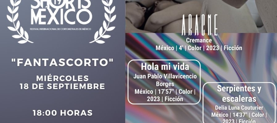 Cortometrajes: Aracne, Hola mi vida y, Serpientes y escaleras