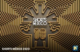 Shorts México 2023