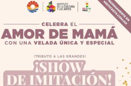 Imagen muestra de la actividad Show de imitación