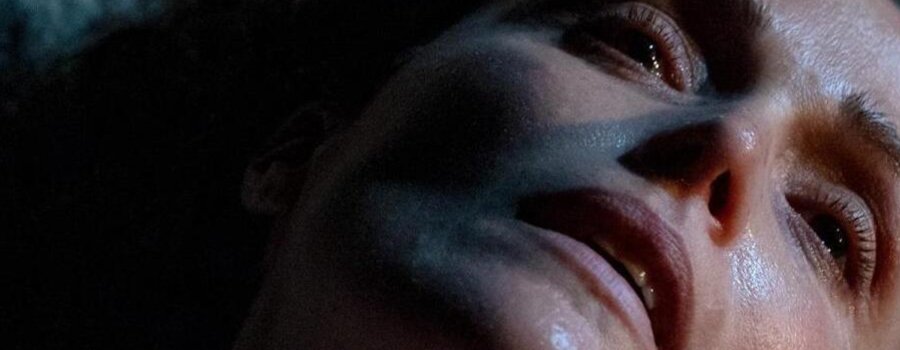 Si pudiera, te patearía