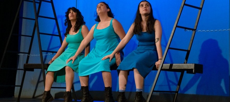 El dilema de las mariposas. Si te lo explico no lo entenderías