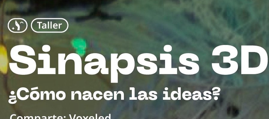 Sinapsis 3D