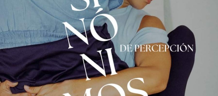 Sinónimos de percerpción