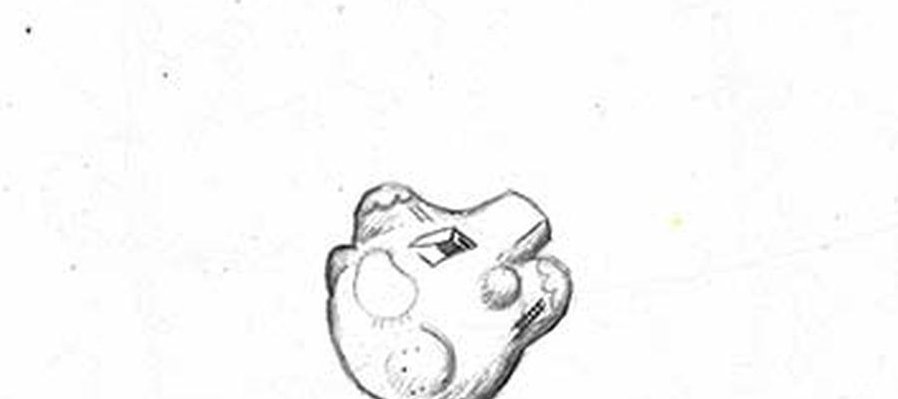 Solía buscar allá afuera