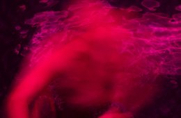 Imagen muestra de la actividad Simulacros, perlas, montañas