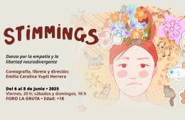 Imagen muestra de la actividad STiMMiNGS