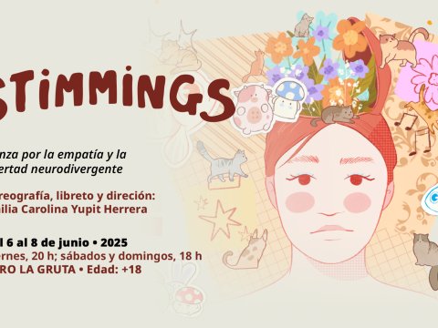 Imagen muestra de STiMMiNGS
