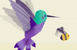 Imagen muestra de la actividad: Sueño de un colibrí