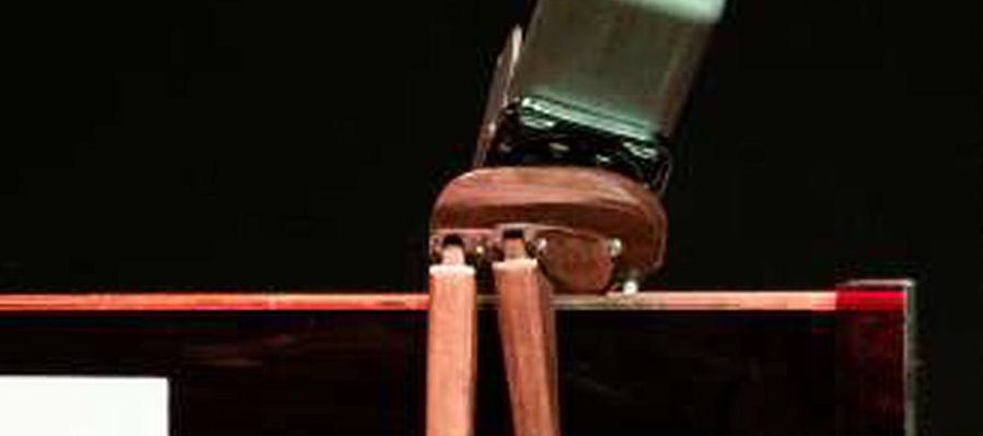 Swing de Insectos, el concierto Big Band