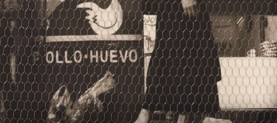 Sylvie: sobre la cresta y la herida