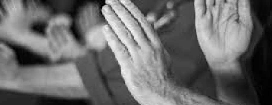 Taller de Tai chi