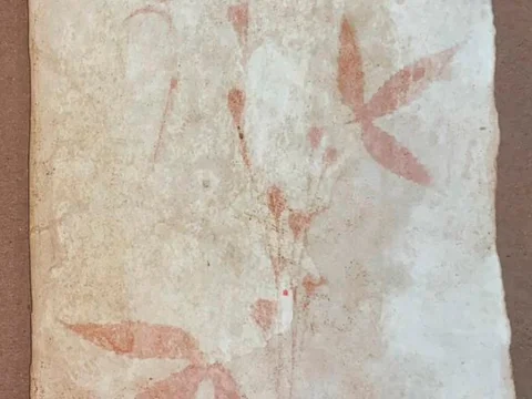 Taller presencial. Antiotipias americanas. Creación de imágenes contemporánea con técnicas y materiales naturales