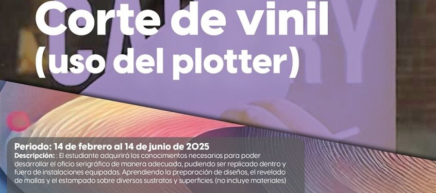 Corte de Vinil