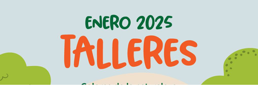Talleres Culturales