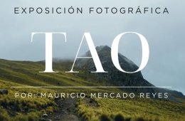 Imagen muestra de la actividad Tao