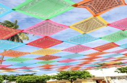Imagen muestra de la actividad Tarde mexicana