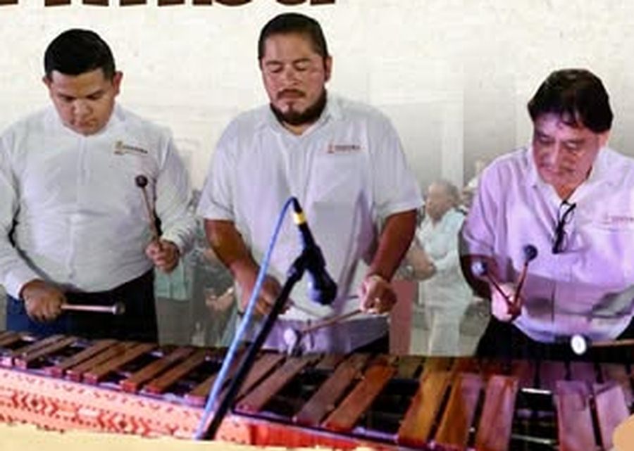 Imagen muestra de la actividad Tardes de Marimba