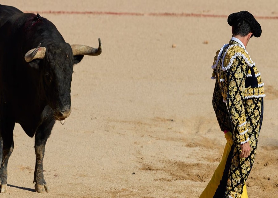 Imagen muestra de la actividad Tauromaquia para los taurinos y antitaurinos