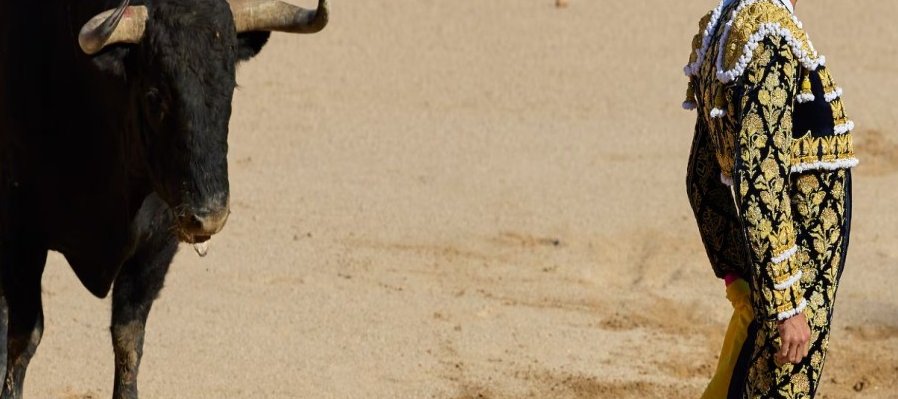 Tauromaquia para los taurinos y antitaurinos