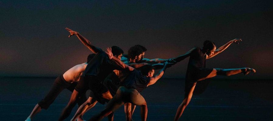 Galería de estrenos: homenaje a Rossana Filomarino