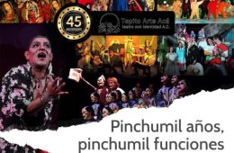 Imagen muestra de la actividad Pinchumil años, pichumil funciones