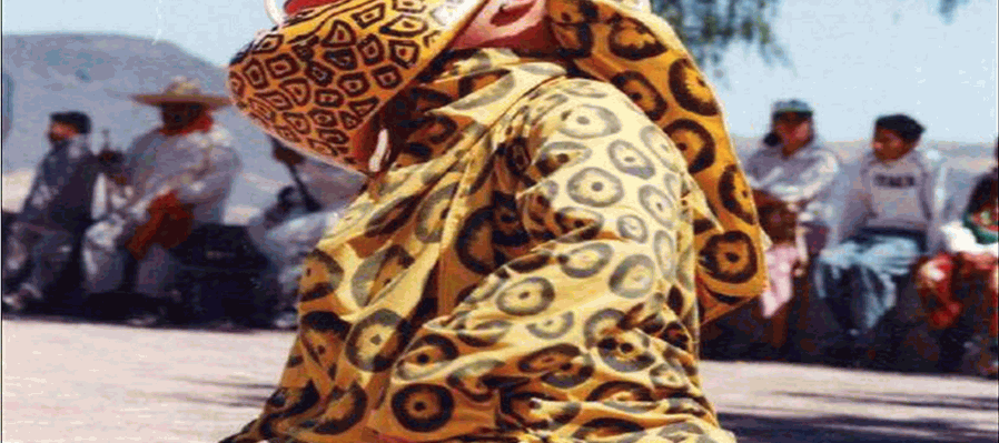 Tecuanes de Acatlán de Osorio