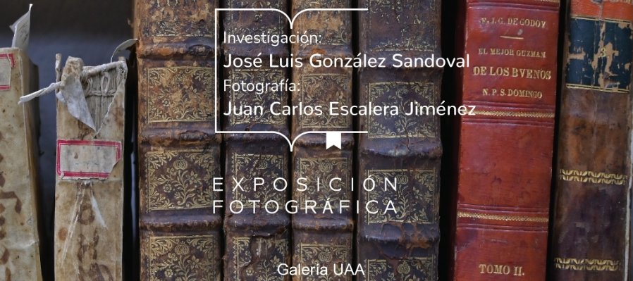 Texturas Bibliográficas