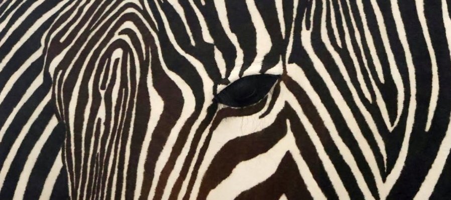 Texturas y colores. Afelpado en casa